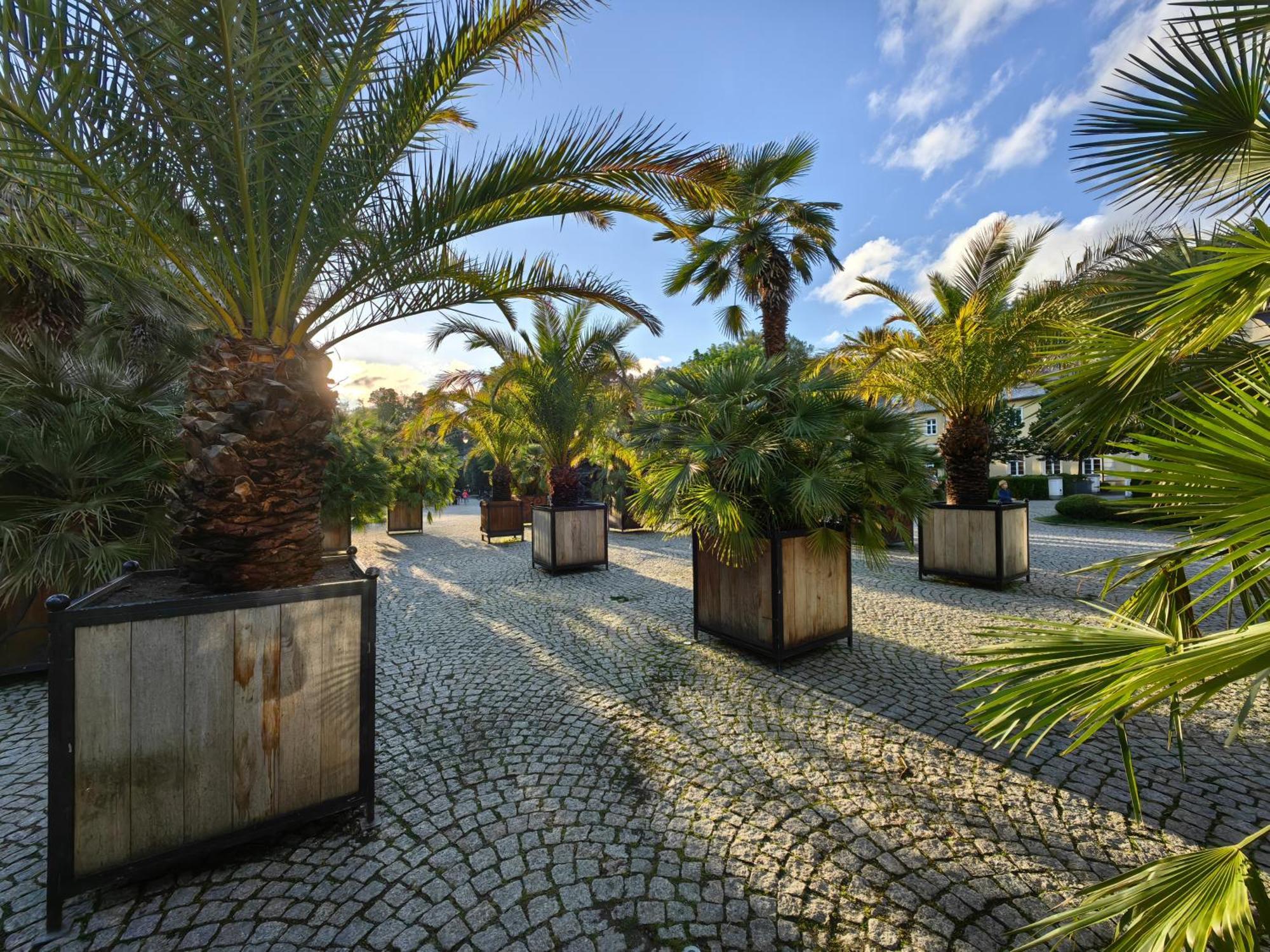 Willa San Remo Kudowa-Zdrój Exteriér fotografie