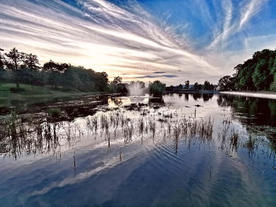 Willa San Remo Kudowa-Zdrój Exteriér fotografie